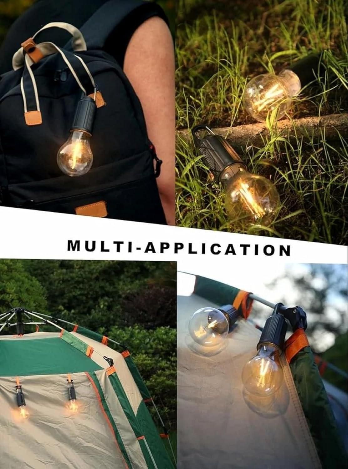 Collage of LED light bulbs in various settings with text 'Multi-Application'.